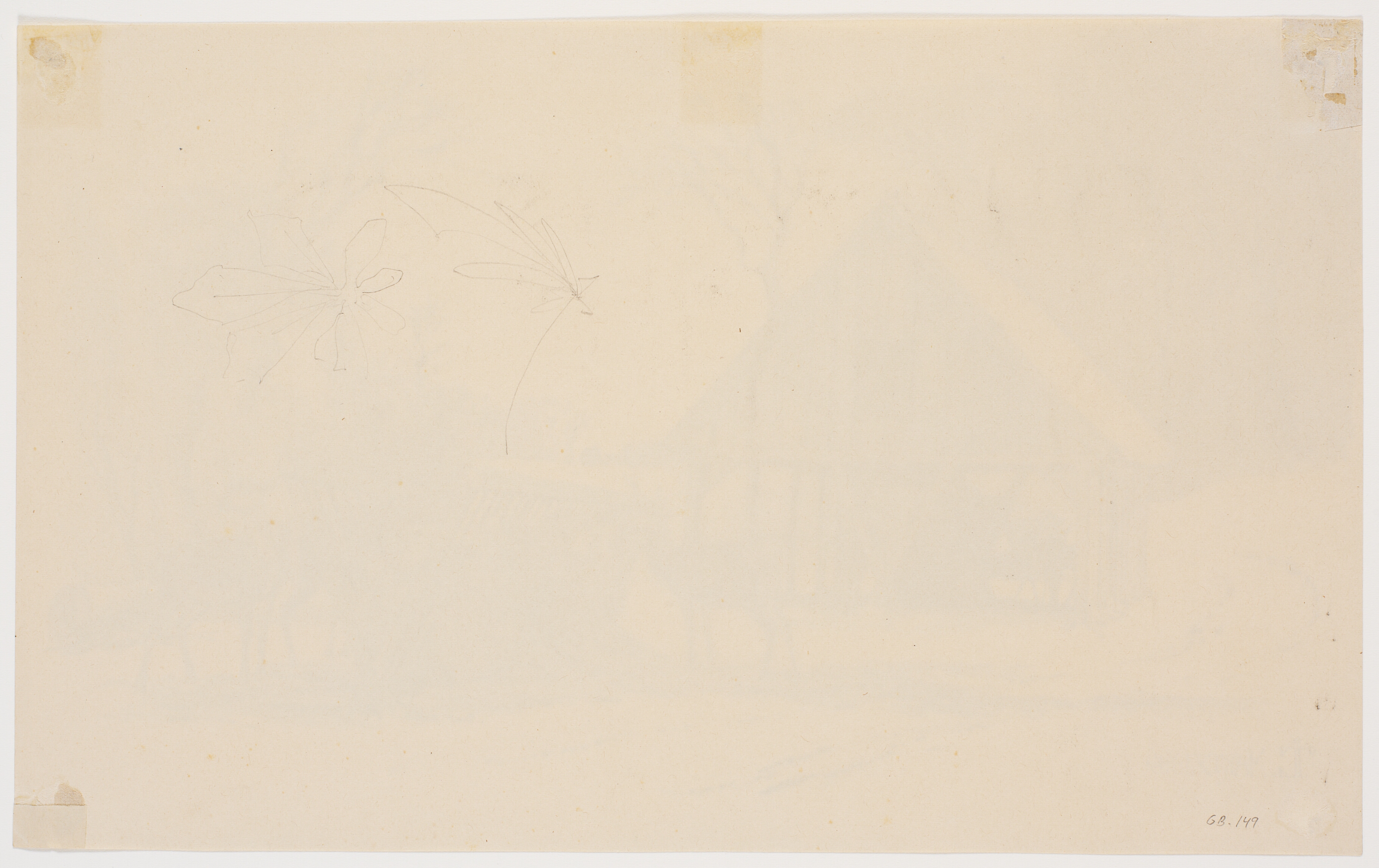 Et par løse bladstudier